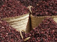 Dried Hibiscus Flower, Dried Hibiscus Flower Powder, Affordable Dried Hibiscus Flower, Quality Dried Hibiscus Flower Powder