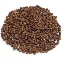 Grains of Paradise , Affordable Grains of Paradise, Quality Grains of Paradise