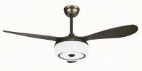 Modern Ceiling Fans with LED Lighting
