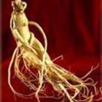 Sell Ginseng extract powder