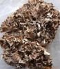 Sell Maitake Mushroom Extract