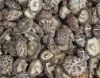 Sell Shiitake Mushroom Extract