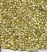 sell snow white pumpkinseed kernels