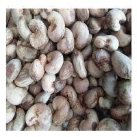 raw cashew nut price in ghana