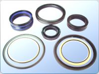 PTFE seal