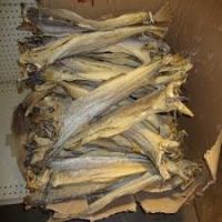 Quality Grade A Dried StockFish for sale / Frozen Stock Fish
