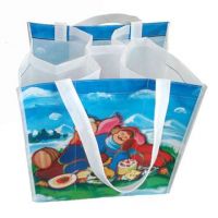 shopping bag 001