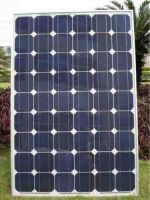 Solar Panels & Cells