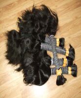 we are exporting high quality indian remy single drown vargin hair