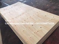 CDX plywood