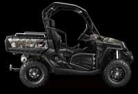 Powerful 150cc 250cc gasoline UTV 4 wheeler Quad bike For Sale