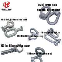Lifting Ring/Expansion Anchor/U Shackles/Eye Nut