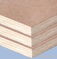 sell plywood, shuttering plywood, film plywood