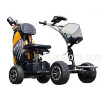 Sell Golf Traveler, 4-wheel Electric Golf buggy (Carts Kaddy Trolley)