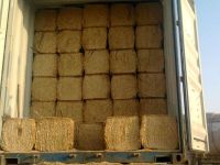 Wheat Hay