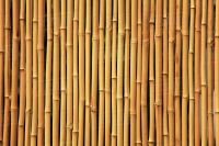 Bamboo Sticks