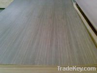 Sell walnut fancy plywood