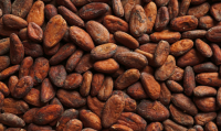 Best selling Cocoa Beans