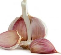 Selling Best Quality Fresh garlic