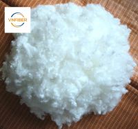 Recycled polyester staple fiber 7D 15D 32/51/64 MM