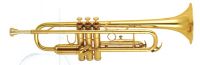 Trumpet YWTR-01