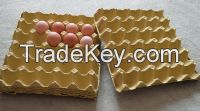 Egg Pulp Cartons