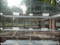 Sell poultry cage