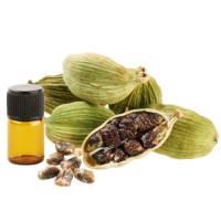 Cardamom Oil