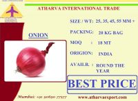 BEST FRESH RED ONION FROM INDIA