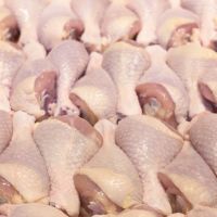 Halal Frozen Chicken, Frozen Whole Chicken