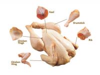 Halal Grade "A"Frozen Whole Chicken, Frozen Chicken Feet, Frozen Chicken Paws - Certified