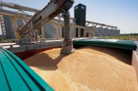 Wheat, barley and corn grains originating from Russia.