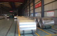 Hot Rolled and Cold Rolled Steel Galvanized Strip Steel Coil Steel Sheet used in building material