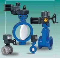 Sell Eelctric control valve