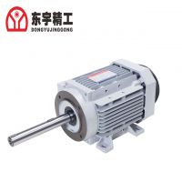 Dongyu High Torque Low Noise Three Phase Inverter Motor