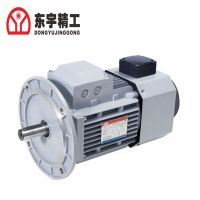 Dongyu Low Vibration Frequncy Conversion Motor