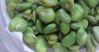 Broad Beans high quality dry raw fresh frozen Broad Bean fava bean green iqf whole raw frozen split broad beans vicia