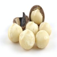 Macadamia Nut (Shell and Shell Off) - Best Price and Quality.