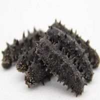 Top Quality Dried Wild Sea Cucumber Competitive / sand fish sea cucumber