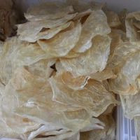 Wholesale Dried Fish Maw At Best Price / cat fish maw/eel fish maw