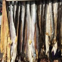 Tusk Dry Stock Fish Cod, Salted Cod Fish