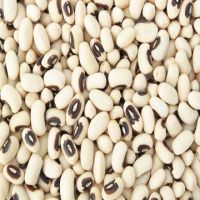 Premium Quality Madagascar Black Eye Beans for fooding purpose