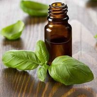 Basil essential oil