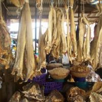 Tusk Dry Stock Fish Cod / dried salted cod fish