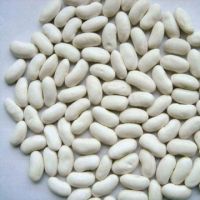 High Quality T Dry Pinto Bean Red and White Kidney Beans
