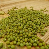 Dry Green Mung Bean