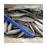 Seafood Frozen Horse Mackerel For Vietnam