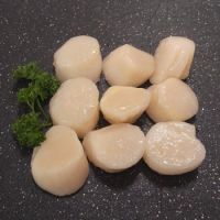 Quality Frozen Sea Scallop