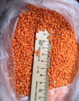 Red Lentils, Red Whole Lentils and Red Split Lentils Wholesale