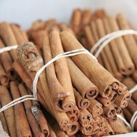 Stick Cassia Cinnamon Best Price from Vietnam